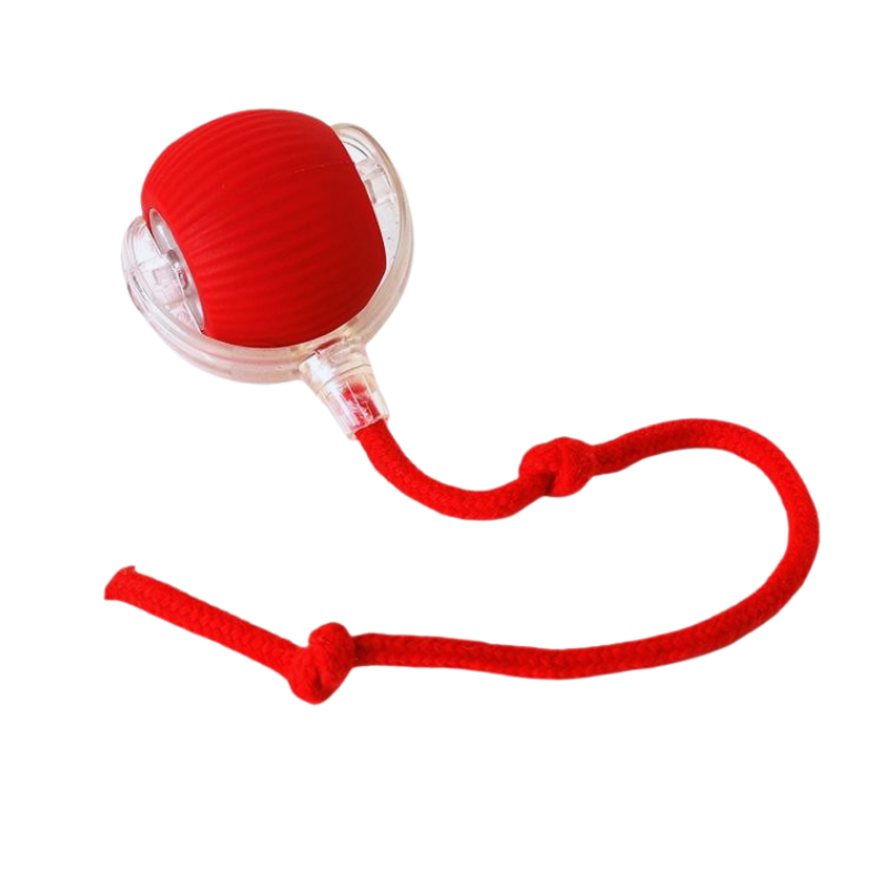 Interactive Rolling Ball Pet Toy