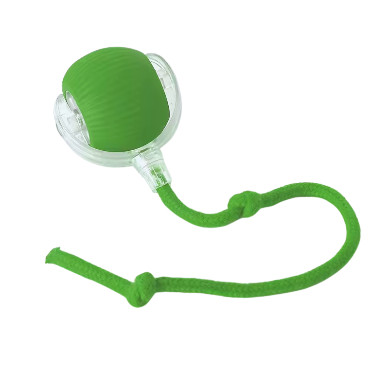 Interactive Rolling Ball Pet Toy