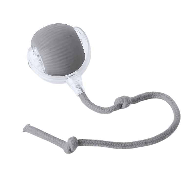 Interactive Rolling Ball Pet Toy