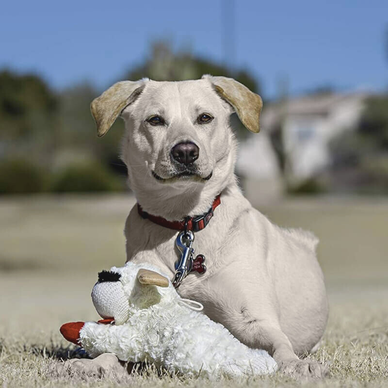 Indestructible Squeaky Sheep Dog Toy