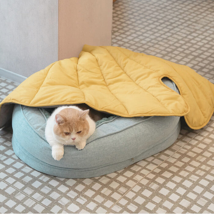 Cozy Donut Dog Bed