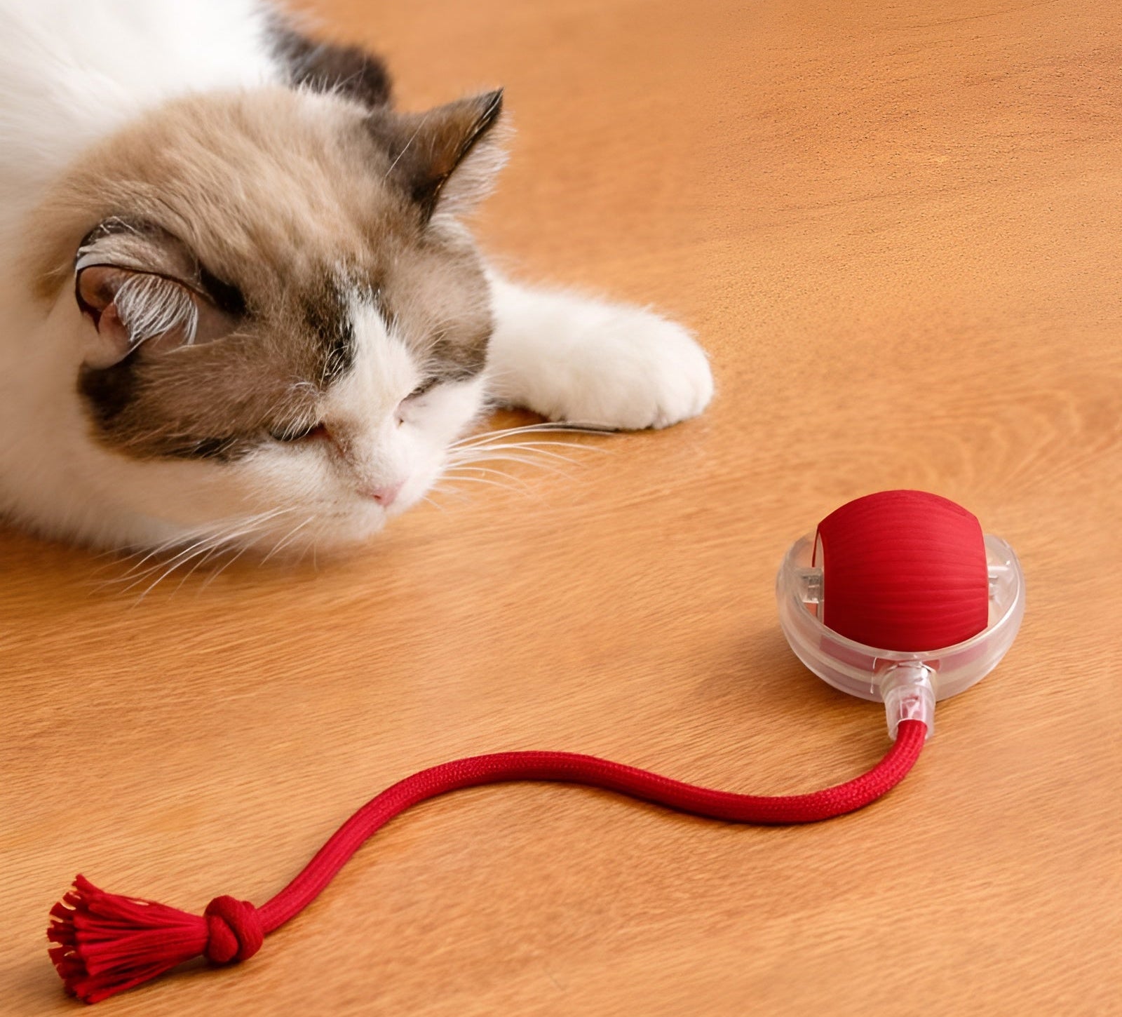 Interactive Rolling Ball Pet Toy