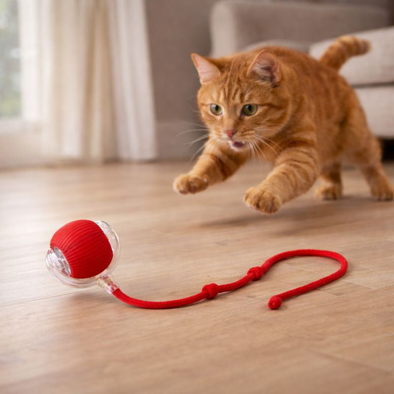 Interactive Rolling Ball Pet Toy